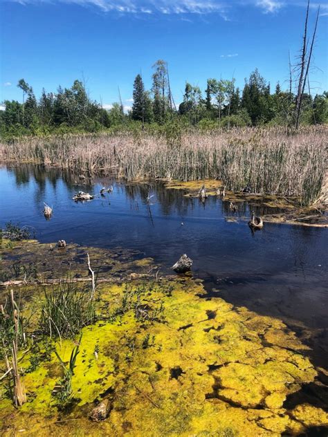 valens conservation area water quality
